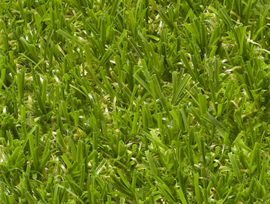 Lazy Lawn Turf